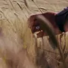Стикер 8 Gladiator