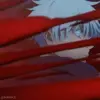 Стикер 4 Большая подборка аниме-эмодзи