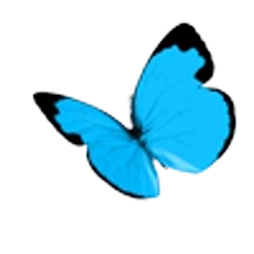 🦋 Эмодзи «Весенние буквы, бабочки и цветы. Русские и английские» для Telegram