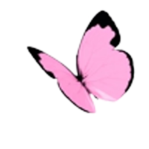 🦋 Эмодзи «Весенние буквы, бабочки и цветы. Русские и английские» для Telegram