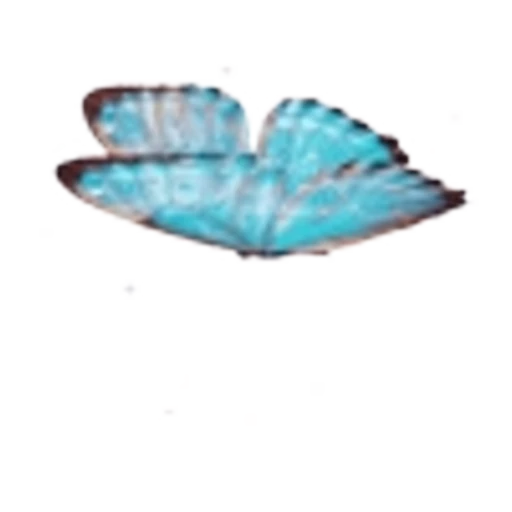 🦋 Эмодзи «Весенние буквы, бабочки и цветы. Русские и английские» для Telegram