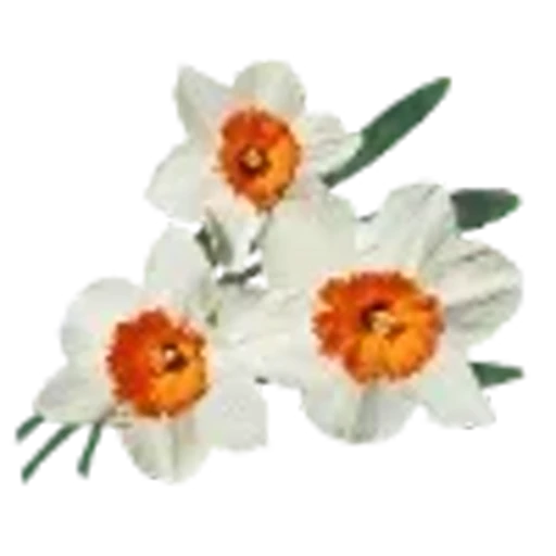 🏵️ Эмодзи «Весенние буквы, бабочки и цветы. Русские и английские» для Telegram