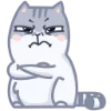 Стикер 14 😘 Набор эмоджи с серым котиком Персиком из ВК