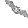 Стикер 4 𝒢𝘳𝘢𝘺