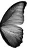 Стикер 61 𝒢𝘳𝘢𝘺