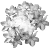 Стикер 6 𝒢𝘳𝘢𝘺