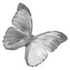 Стикер 27 𝒢𝘳𝘢𝘺