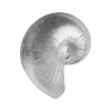 Стикер 30 Grey