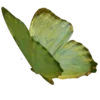 Стикер 30 Green Aesthetics