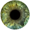 Стикер 47 Green Aesthetics