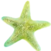 Стикер 3 Green Aesthetics