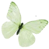 Стикер 34 Green Aesthetics