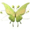 Стикер 32 Green Aesthetics