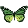 Стикер 50 Green Aesthetics