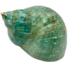 Стикер 57 Green Aesthetics
