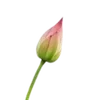 Стикер 34 Green pink
