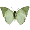Стикер 22 🥰 green - зелёные эмодзи