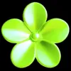 Стикер 21 Greeny