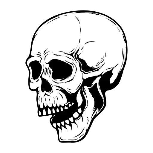 Стикер 51 Hd Skulls