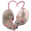Стикер 44 The Best For Girls #girl #style #cute