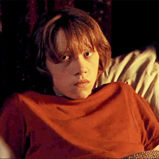 Стикер 42 Harry Potter