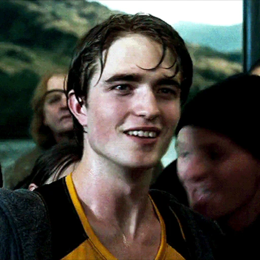 Стикер 25 Harry Potter
