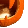 🎃 Эмодзи «Эмодзи к Хэллоуину» для Telegram