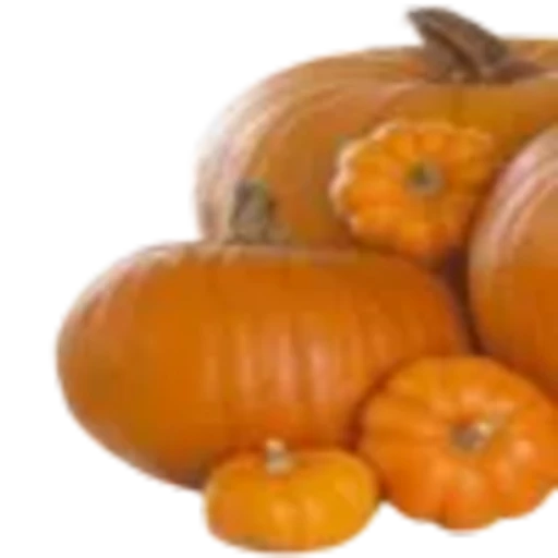 🎃 Эмодзи «Эмодзи к Хэллоуину» для Telegram