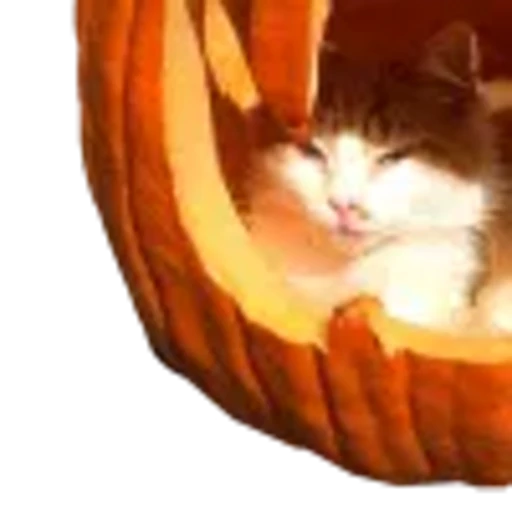 🎃 Эмодзи «Эмодзи к Хэллоуину» для Telegram