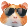 Стикер 36 Hamster Kombat