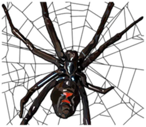 🕸 Стикер «Handsome Spider» для Telegram