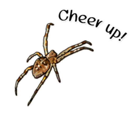 🎉 Стикер «Handsome Spider» для Telegram