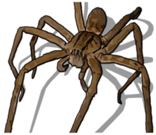 🕷 Стикер «Handsome Spider» для Telegram