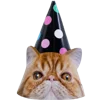 Стикер 46 Birthday