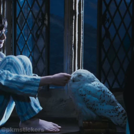 🦉 Стикер «Harry Potter I» для Telegram