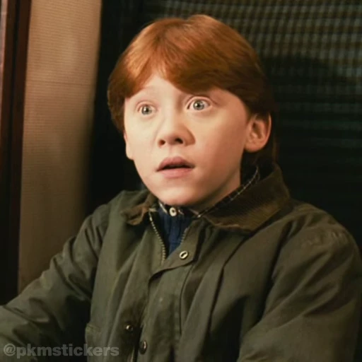 😧 Стикер «Harry Potter I» для Telegram