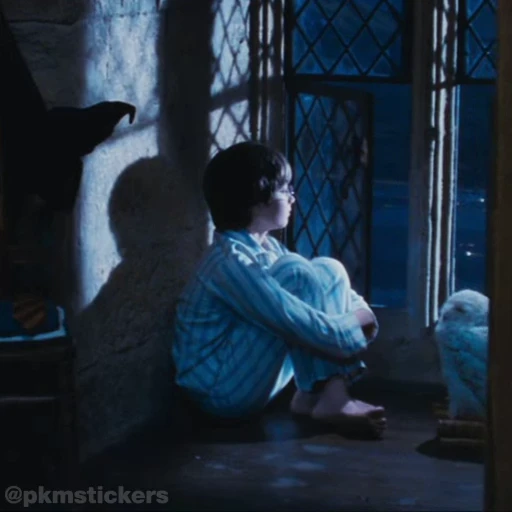 🫠 Стикер «Harry Potter I» для Telegram