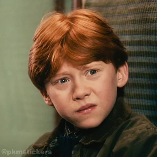 🤨 Стикер «Harry Potter I» для Telegram