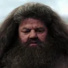 Стикер 55 🤩 Гарри Поттер