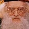 Стикер 4 🤩 Гарри Поттер