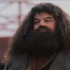 Стикер 2 🤩 Гарри Поттер