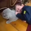 Стикер 53 Хасбик