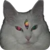 Стикер 14 Hekate Loves You