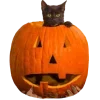 Стикер 27 🔪 Halloween