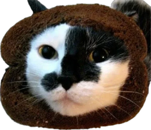 🍞 Стикер «Bread Cats» для Telegram