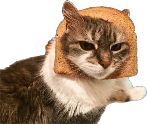 🍞 Стикер «Bread Cats» для Telegram