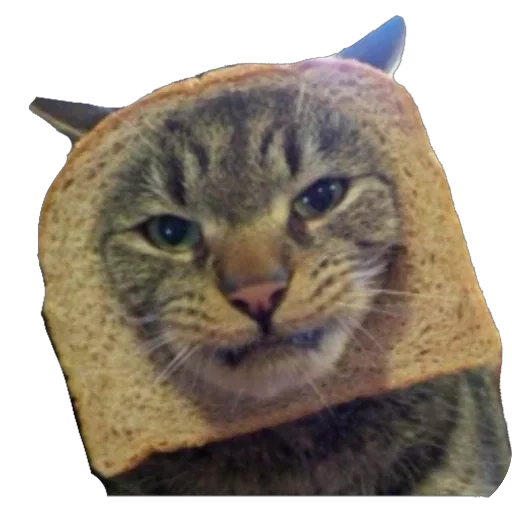 🍞 Стикер «Bread Cats» для Telegram