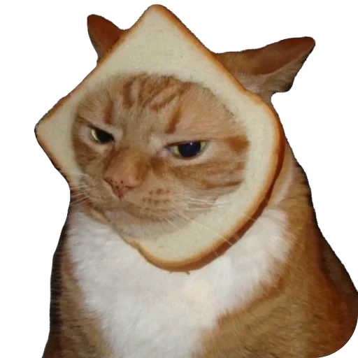 🍞 Стикер «Bread Cats» для Telegram