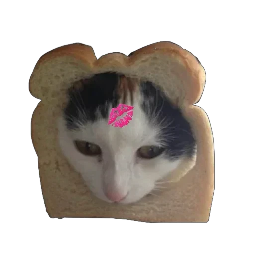 Стикерпак Bread Cats для Telegram — скачать