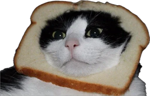 🍞 Стикер «Bread Cats» для Telegram